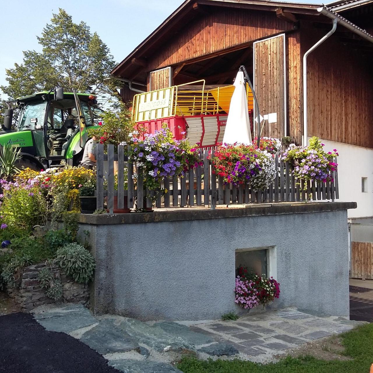 ZeutschachBiohof Koeck Tonibauer别墅 外观 照片