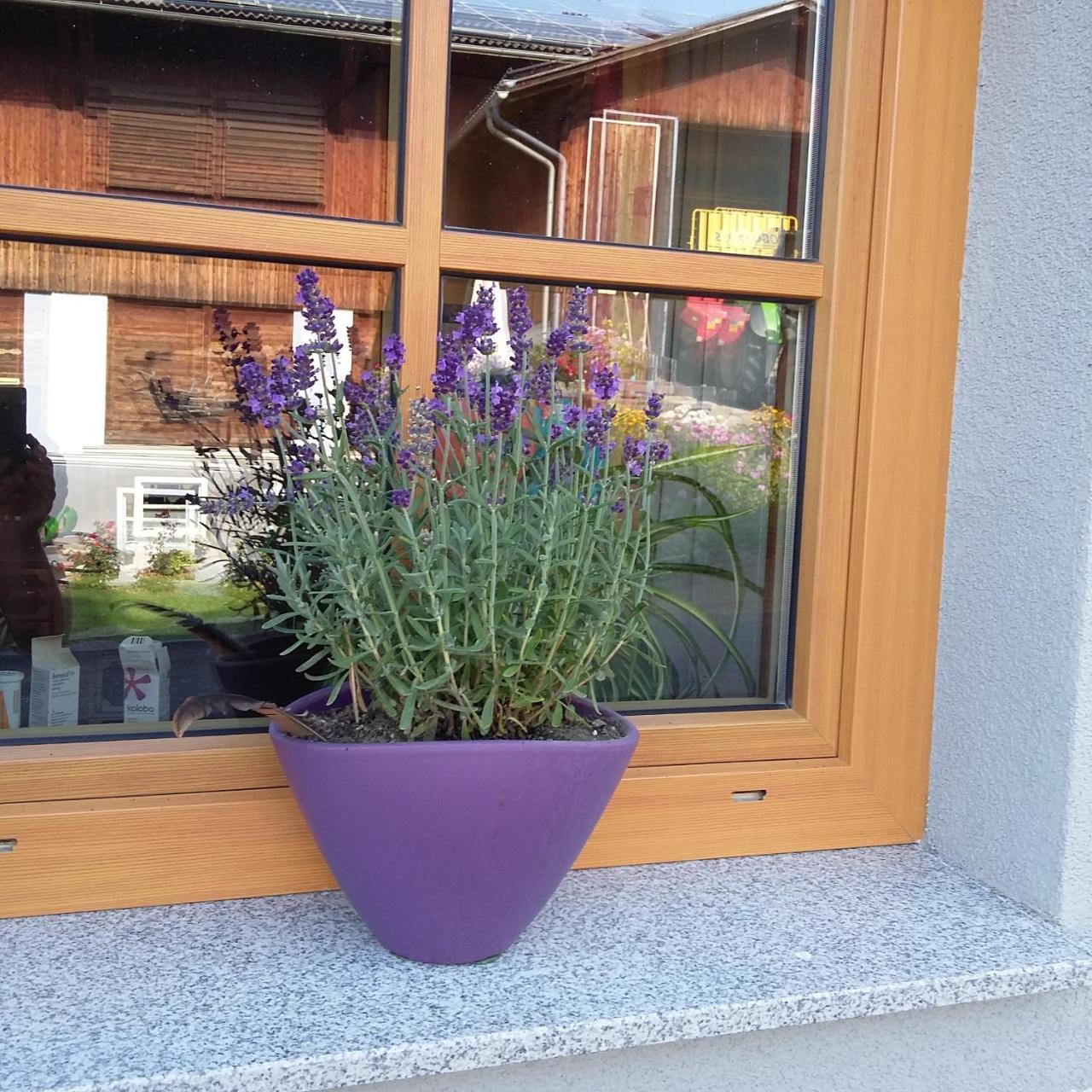 ZeutschachBiohof Koeck Tonibauer别墅 外观 照片